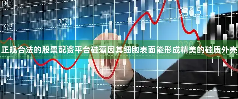 正规合法的股票配资平台硅藻因其细胞表面能形成精美的硅质外壳