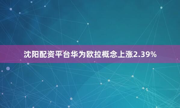 沈阳配资平台华为欧拉概念上涨2.39%
