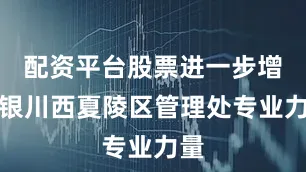 配资平台股票进一步增强银川西夏陵区管理处专业力量